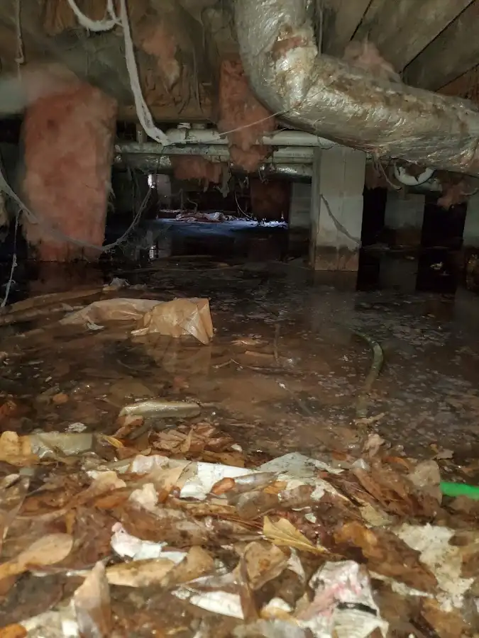 Crawl space flood assessment for Commercial Water Damage Restoration in Kathleen