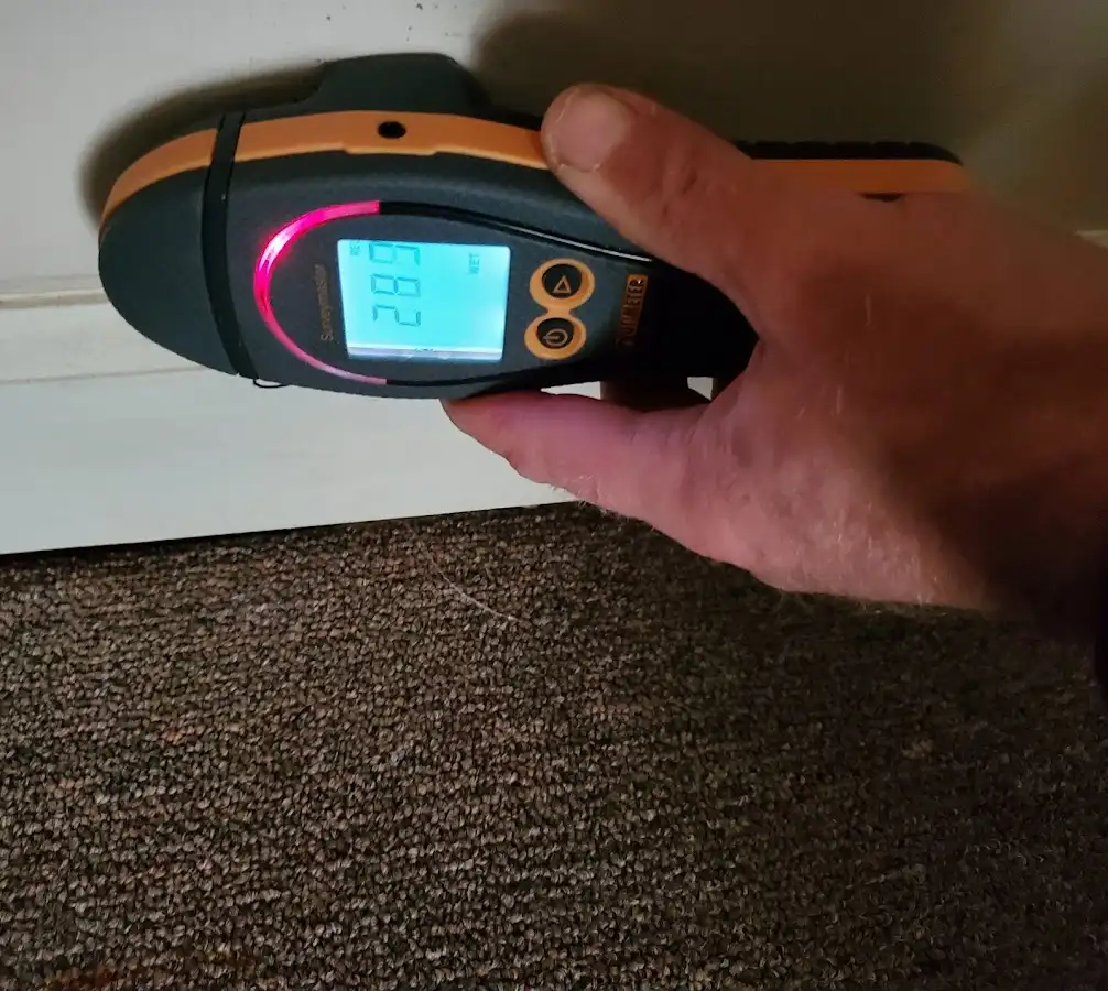 Moisture detection at baseboard during Mold Inspection & Testing in Kathleen